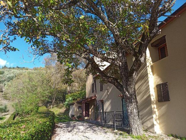 Agriturismo Il Giardino Pontassieve Exterior foto