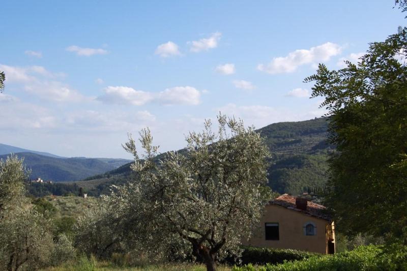 Agriturismo Il Giardino Pontassieve Exterior foto